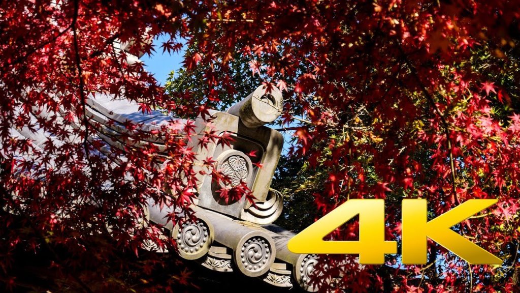 Hondo-ji Temple - Chiba - 本土寺 - 4K Ultra HD