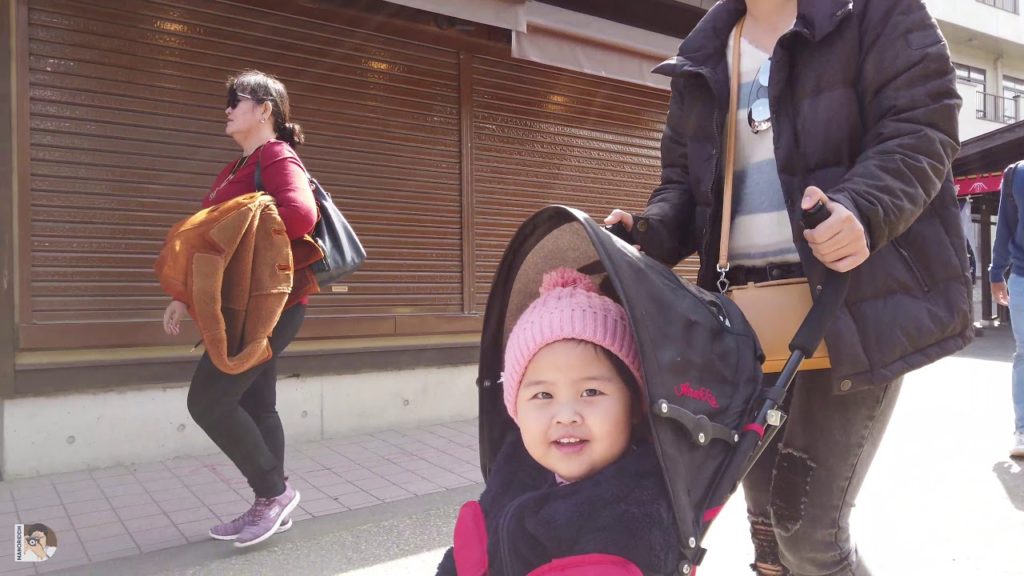 Visiting Mt.Fuji, Kanagawa, Sakura, Tokyo, Asakusa |4K|