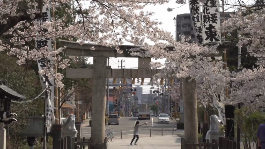 2014 Tōhoku Sakura Tour—Sendai Tōshō-gū