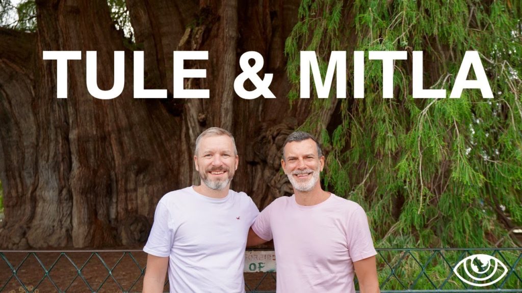 Tule & Mitla (4K) / Mexico Travel Vlog #255 / The Way We Saw It