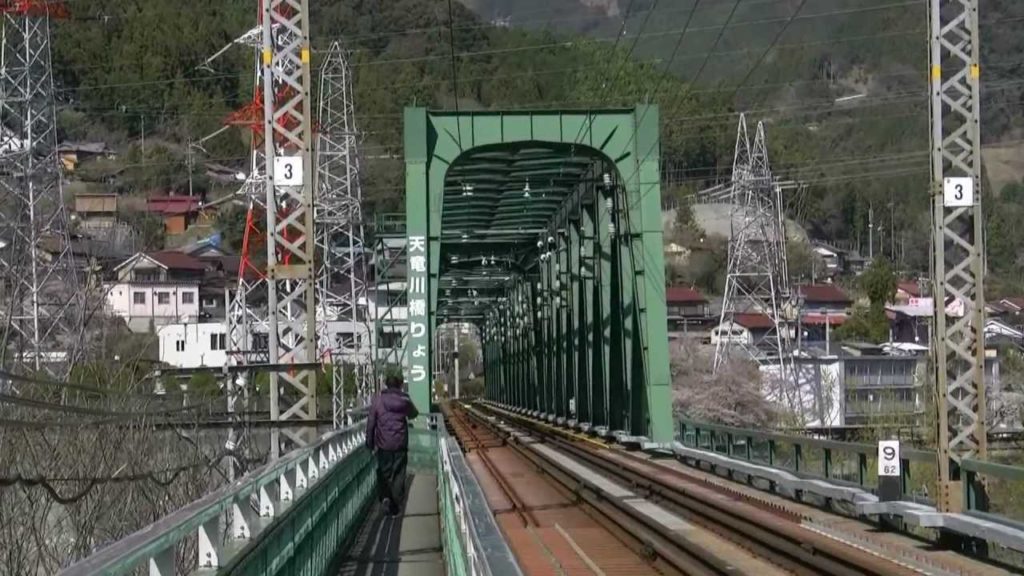 桜・浜松佐久間発電所付近1,Sakura,Sakuma-plant,Hamamatsu,Japan,