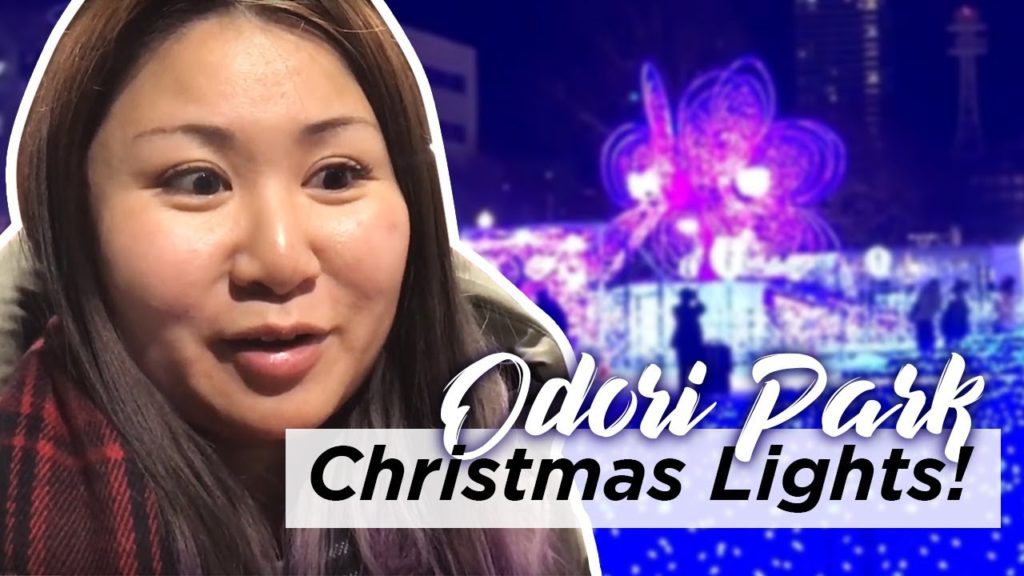 Winter night in Sapporo Hokkaido, Christmas Lights Odori Park