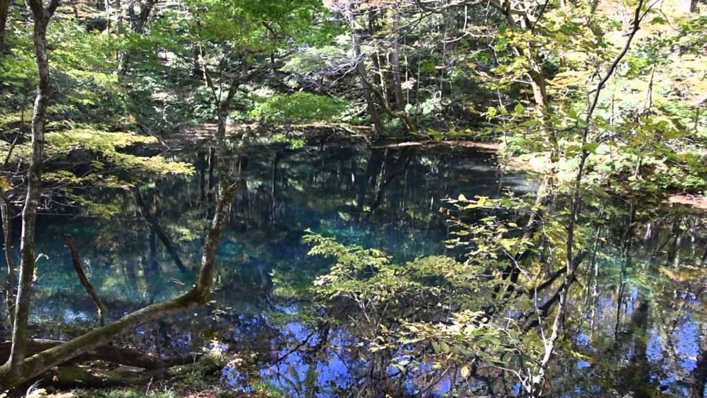 Wakitsubo no Ike Aomori 12ko