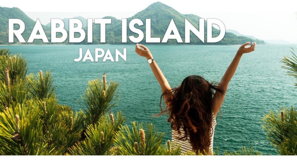 THE BEAUTIFUL RABBIT ISLAND OF JAPAN THE BEAUTIFUL RABBIT ISLAND OF JAPAN