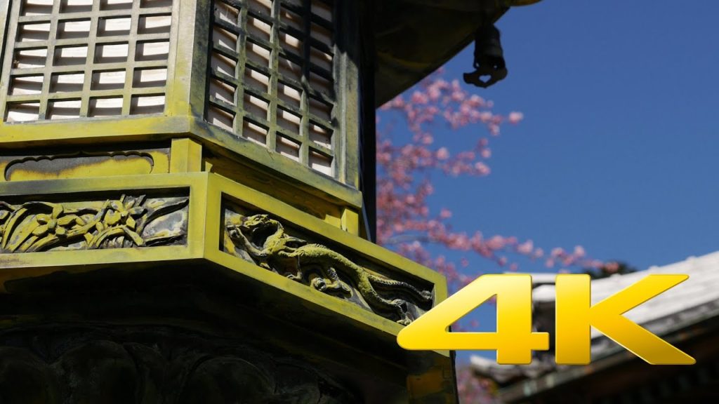 Shizuoka Shuzenji Temple – 福地山 修禅寺 – 4K Ultra HD Shizuoka Shuzenji Temple - 福地山 修禅寺 - 4K Ultra HD
