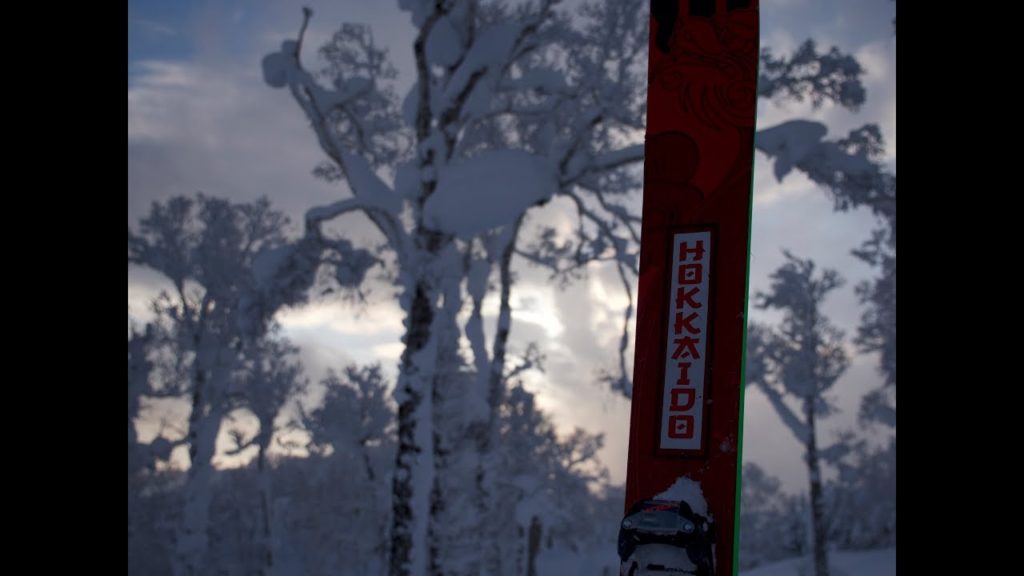 BACK IN JAPAN! (JAPOW)- TOKYO, AOMORI, AND HOKKAIDO BACK IN JAPAN! (JAPOW)- TOKYO, AOMORI, AND HOKKAIDO