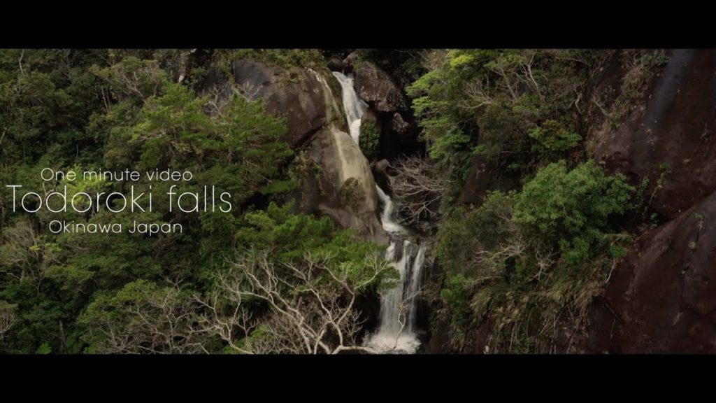 One minute Video : Todoroki falls