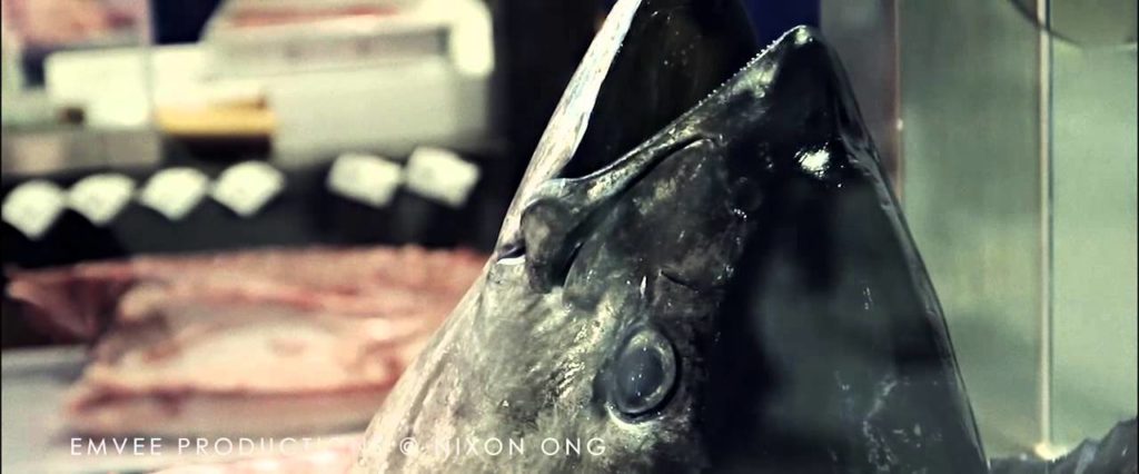 EMVEE: Travel to OSAKA JAPAN 2013