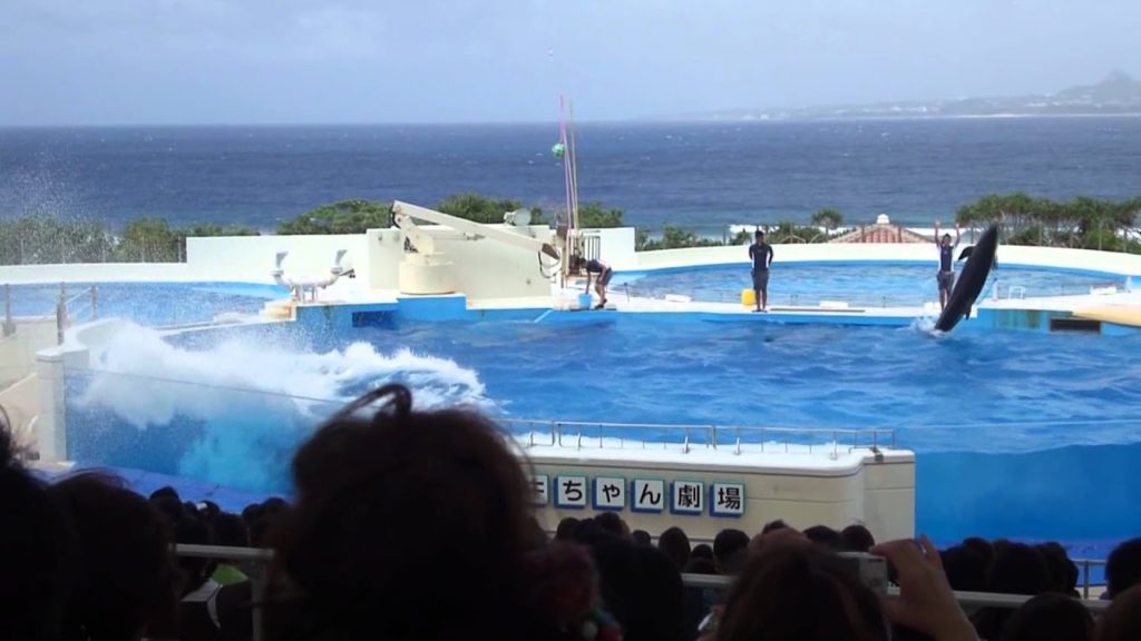 沖縄観光　名所巡り　　【Travel to Okinawa　2011】