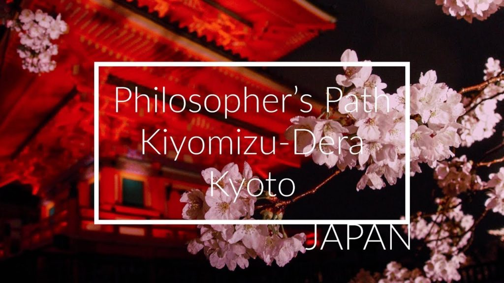 Kyoto Japan Travel & Tips - Philosopher’s Path, Kiyomizu-Dera & Sakura!