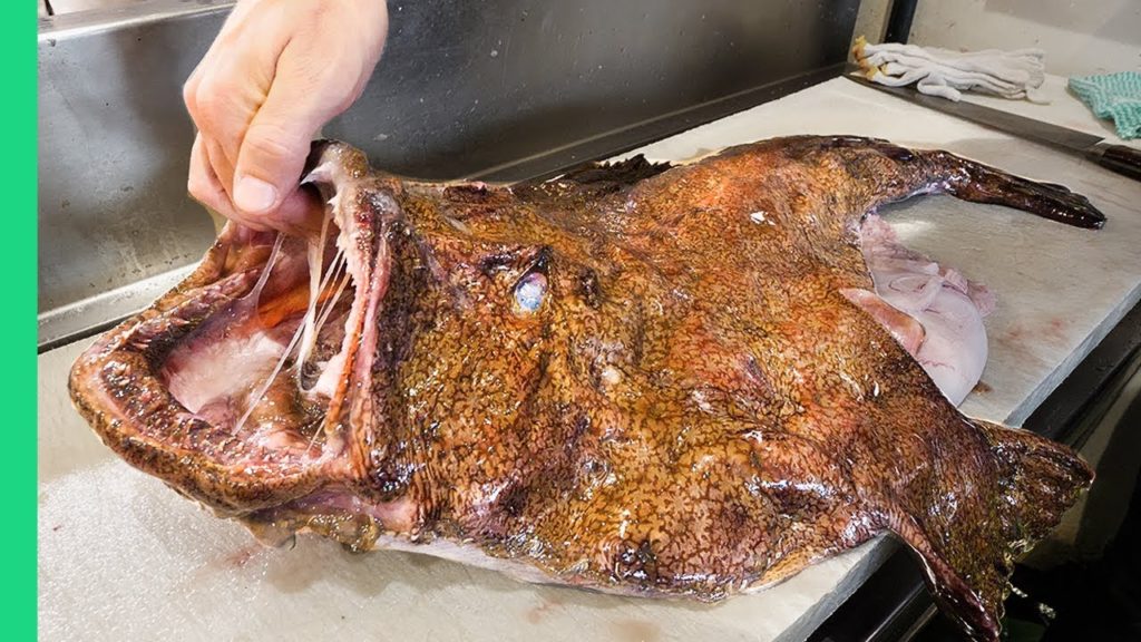 Shocking Japanese Food!!! LIVE Sashimi & Monk Fish! (Sorry Peta)