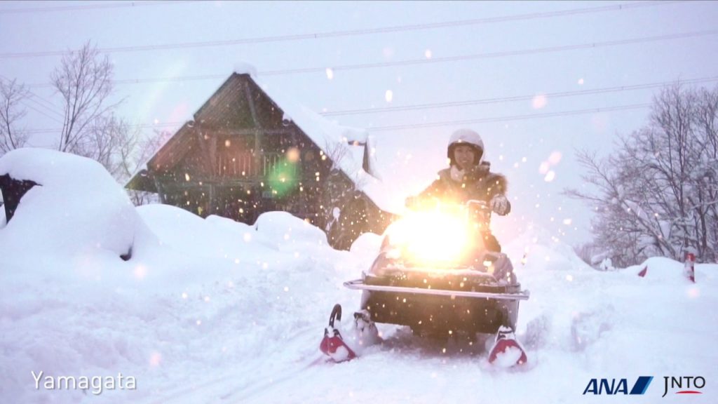 Fly ANA and visit Yamagata and Sendai!