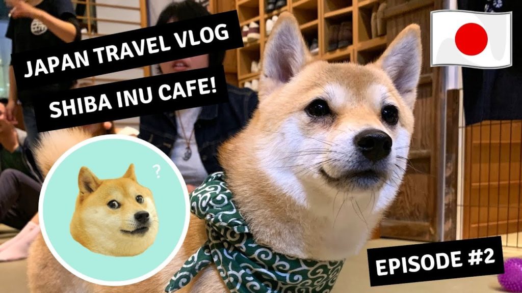 Shiba Inu Cafe! - Japan Travel Vlog - Episode #2