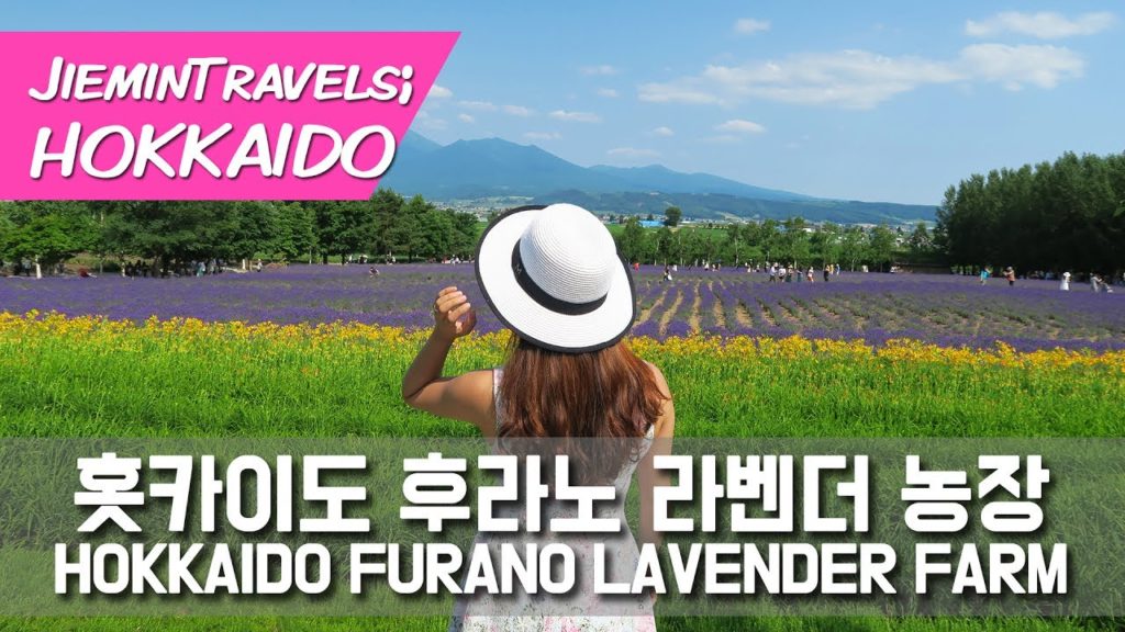 홋카이도 후라노 팜도미타 라벤더 아이스크림 Hokkaido Furano Lavender farm 홋카이도 후라노 팜도미타 라벤더 아이스크림 Hokkaido Furano Lavender farm