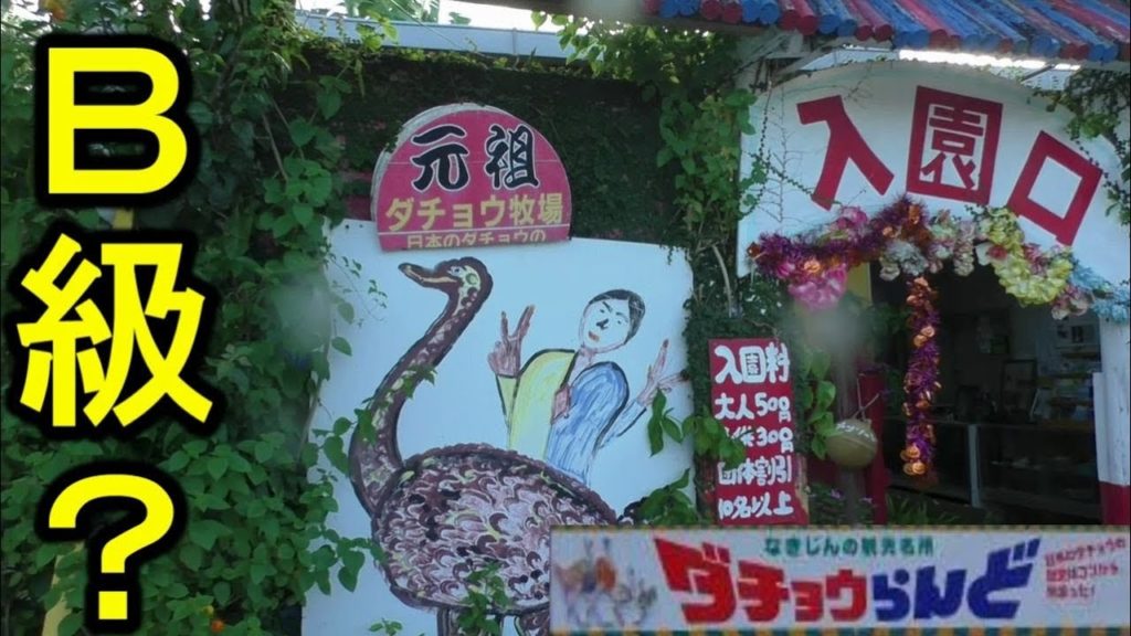 【沖縄旅行 Vlog05】楽しいか微妙か分かれる ダチョウらんど。その後は水族館＆飯　Ostrich Land Japan Okinawa Travel Videos