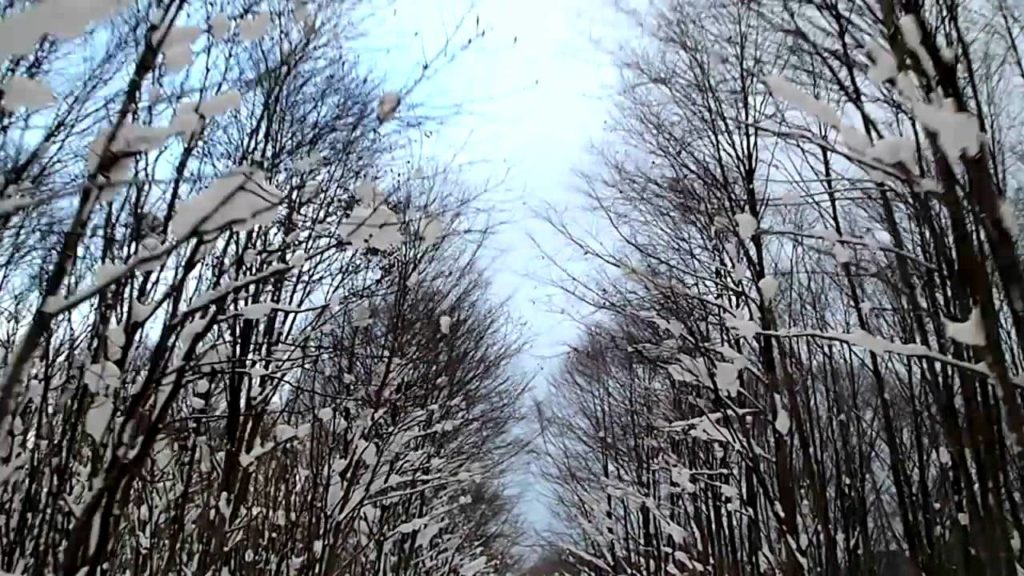 Akita, Japan, Tsurunoyu Onsen, SARUofAKITA Akita, Japan, Tsurunoyu Onsen, SARUofAKITA