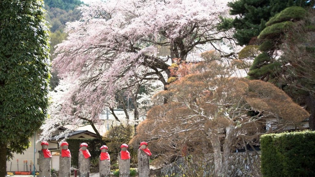 JG 長野 朝日村の春 Spring in Asahi Village,Nagano