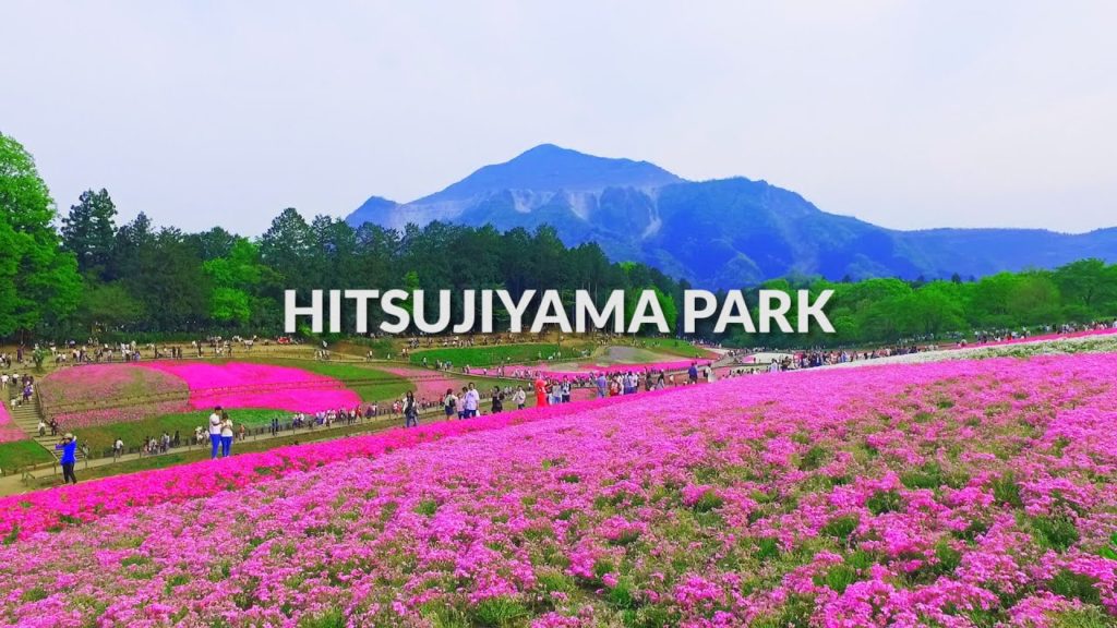 Hitsujiyama Park, Saitama | One Minute Japan Travel Guide