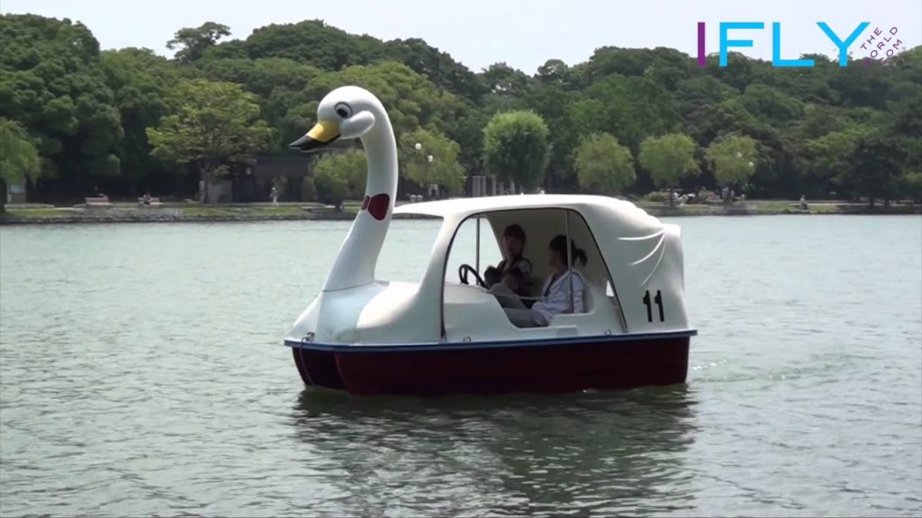 IFLYtheworld.com Fukuoka