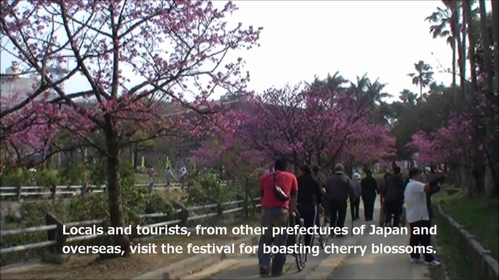 Naha Sakura Festival 2011 (Feb 9th) Naha Sakura Festival 2011 (Feb 9th)