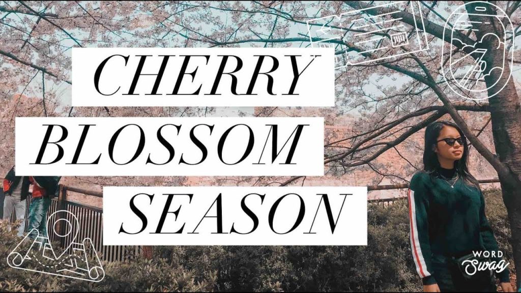 OSAKA JAPAN’S CHERRY BLOSSOM SEASON! (travel guide, destination tour) | shirleymartinwang
