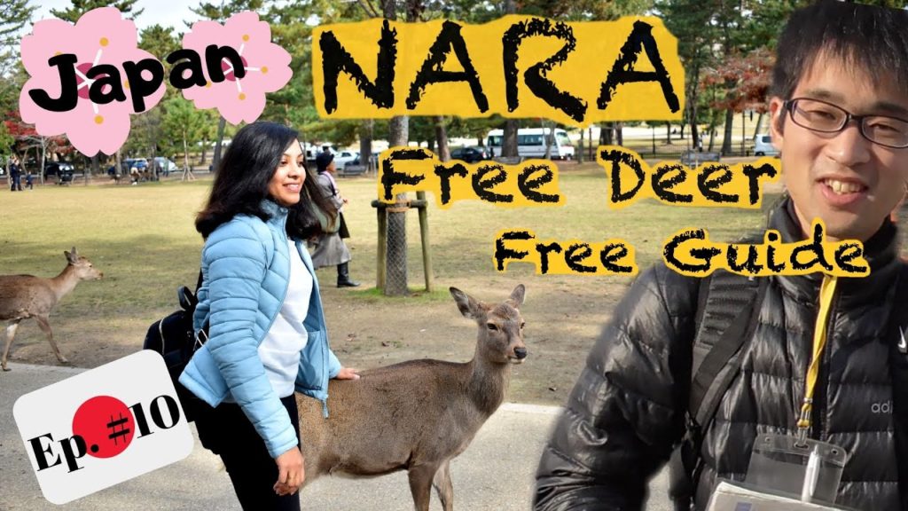 Japan #10 | Nara Day Trip | How to Get Free Guides