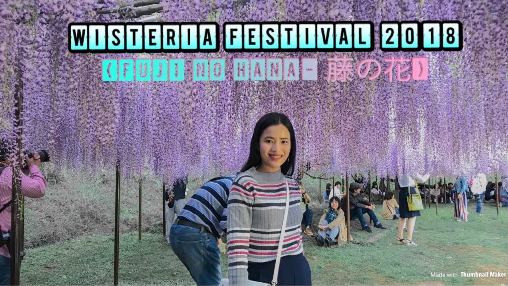 Japan's Fuji no Hana  "WISTERIA" (藤の花 2018) | Eriza Marie