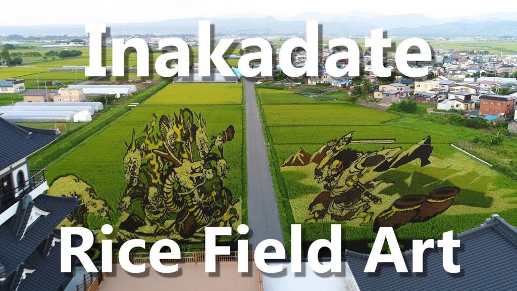 Incredible Rice Field Art in Inakadate Village - Backcountry Aomori 田舎館村田んぼアート