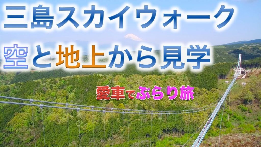 三島スカイウォークを空と地上から見学