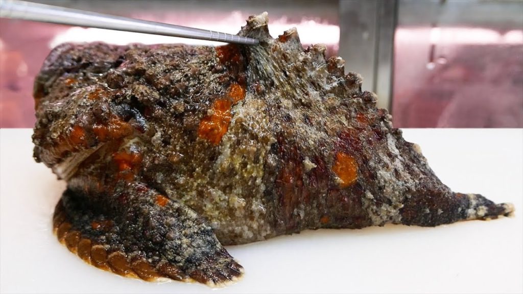 Japanese Street Food - STONEFISH Most Venomous Fish in the World Japan!
