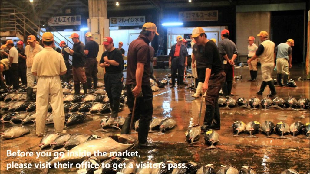 The Early Morning Fish Market at Tomari Fishing Port