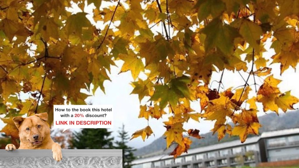 Furano Hotel, Furano, Japan -  The Right Price