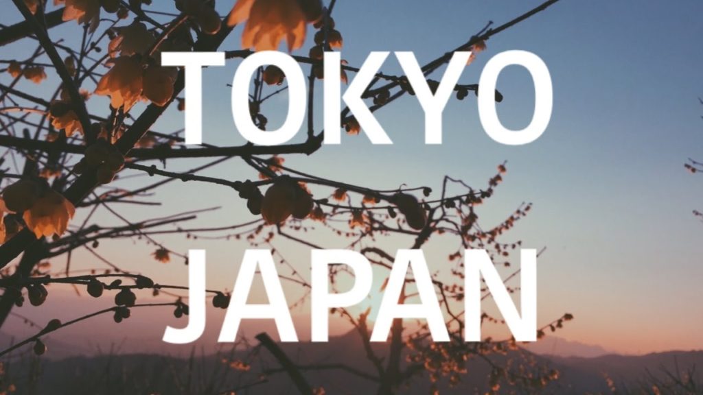 TRIP TO TOKYO [TRAVEL]