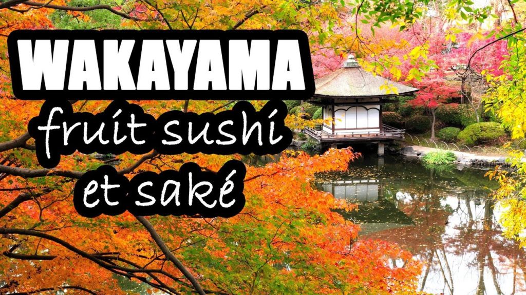 WAKAYAMA – FRUIT SUSHI, SAKE ET SANCTUAIRE CHELOU WAKAYAMA - FRUIT SUSHI, SAKE ET SANCTUAIRE CHELOU