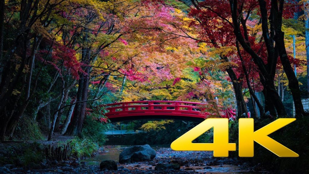 Okuni Shrine - Shizuoka - 小國神社 - 4K Ultra HD