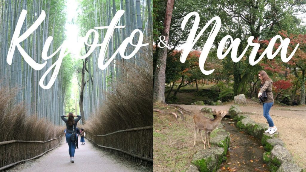 THE ASIA VLOGS | Part 2: KYOTO & NARA | Travel Vlog #30 | follow me around THE ASIA VLOGS | Part 2: KYOTO & NARA | Travel Vlog #30 | follow me around