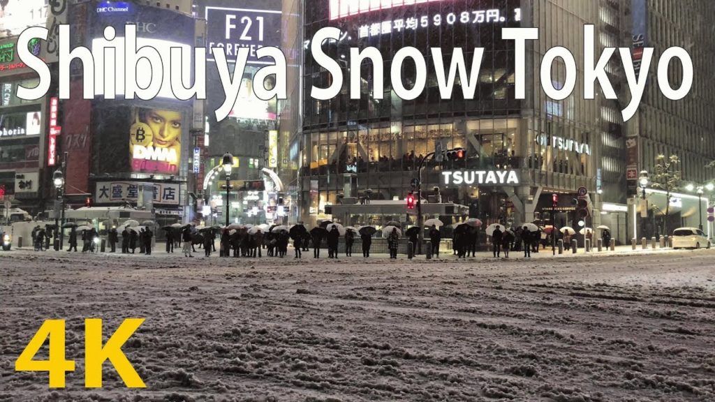 [4K60fps] Tokyo Snow (Shibuya Crossing) [Japan Travel Guide]