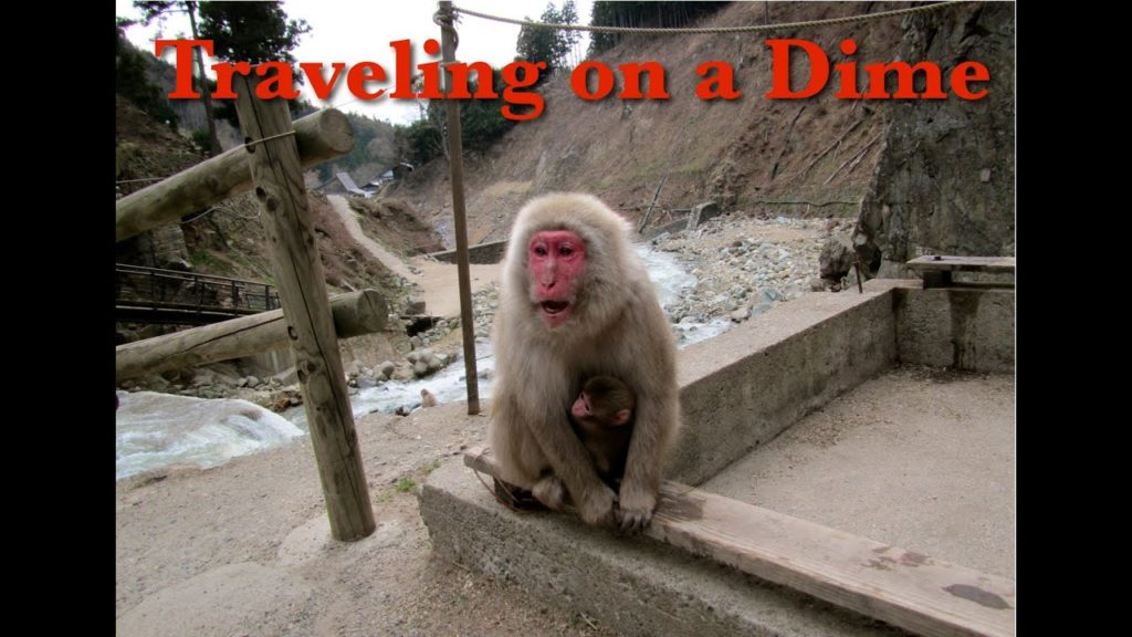 Sakura and Snow Monkeys in Nagano Day 2