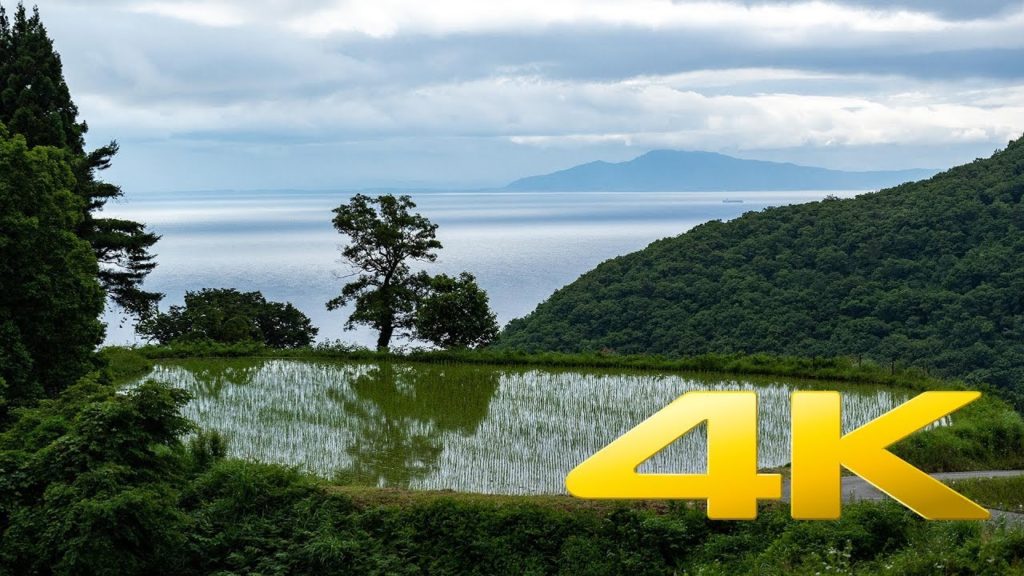 [Sado Island] Iwakubi Shoryu Rice Terraces - Niigata - 岩首昇竜棚田 - 4K Ultra HD