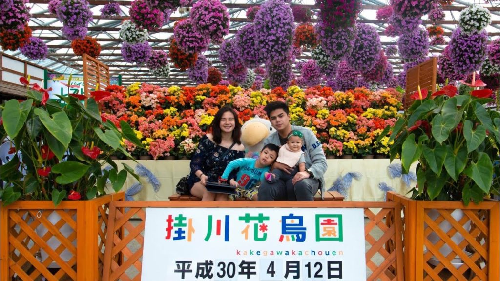 JAPAN VLOG #1 Birds Park | Kakegawa Kachouen