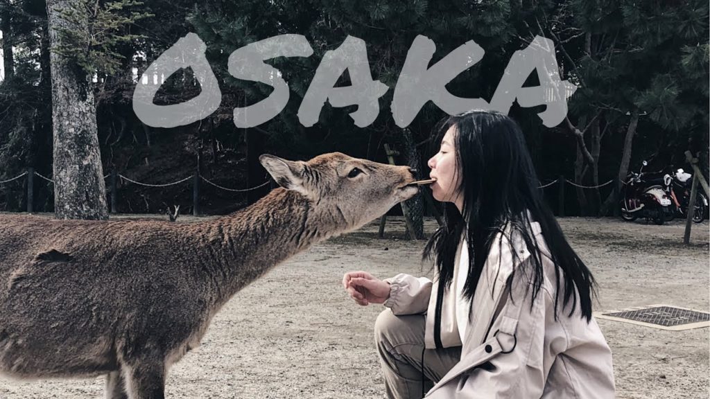 TRAVEL DIARY #5 | OSAKA, JAPAN