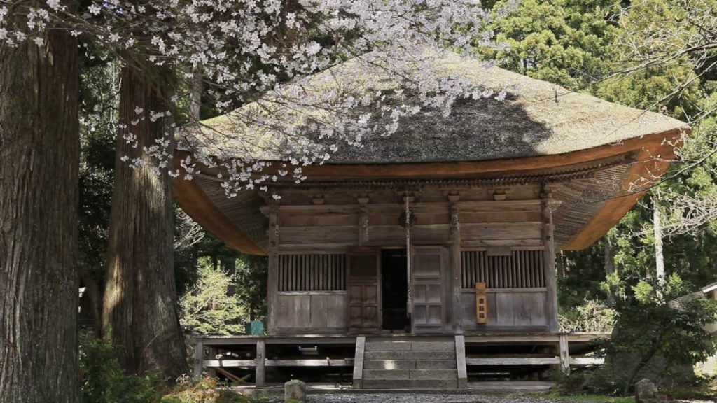 JG☆☆新潟 桜の平等寺(重文,天然記念物) Niigata,Sakura at Byodoji(Cultural Property,Natural Monument)