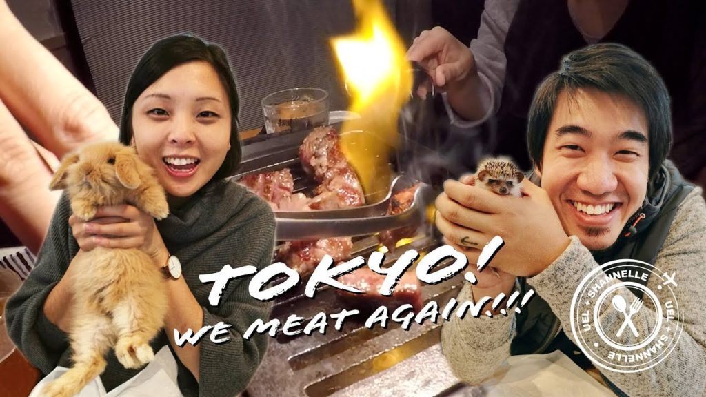 TOKYO: HEDGEHOG CAFE, movie bar and mouthwatering KOBE BEEF (EP 2)