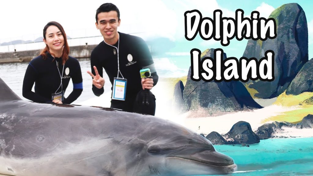 We Played and Swam with Dolphins (Japan) I VLOG 10