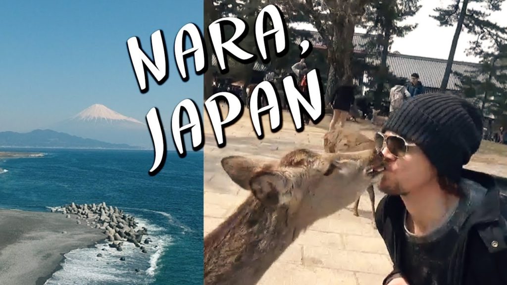 Tokyo to Nara and Everything in Between (Amazing View of Mount Fuji) Tokyo to Nara and Everything in Between (Amazing View of Mount Fuji)