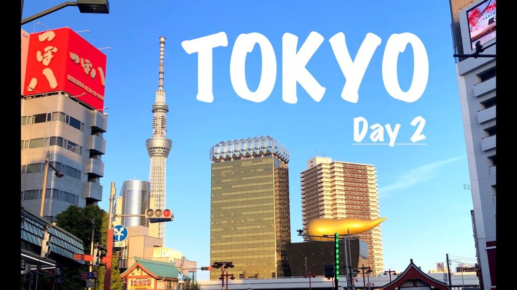 JAPAN TRIP- Exploring Tokyo! 東京都 (Day 2 Vlog) Mario Karting & Ninja restaurant