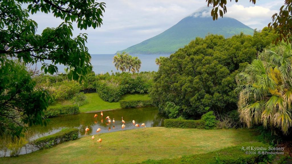 4K 長崎鼻パーキングガーデン Nagasakihana Garden Kagoshima Kyushu JAPAN 4K 長崎鼻パーキングガーデン Nagasakihana Garden Kagoshima Kyushu JAPAN