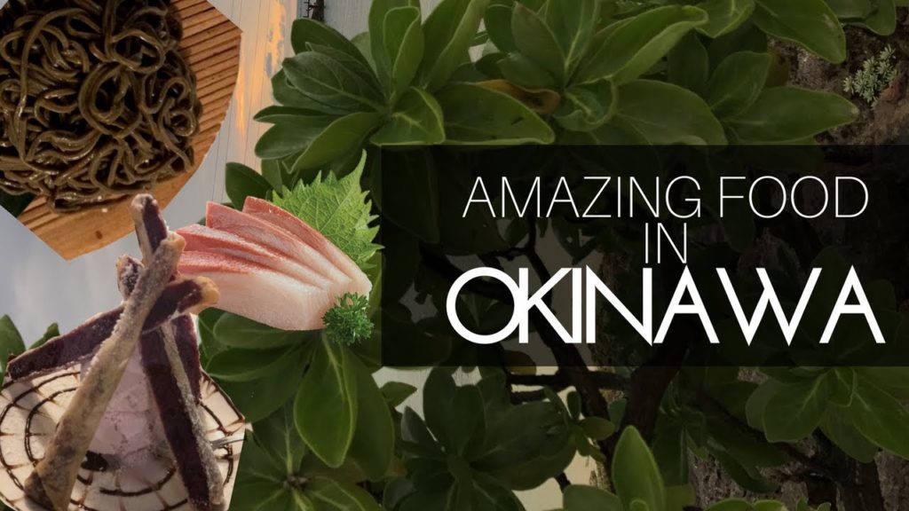 Okinawa Japanese Music and Food Vlog  Japan - Muslims Travel Japan