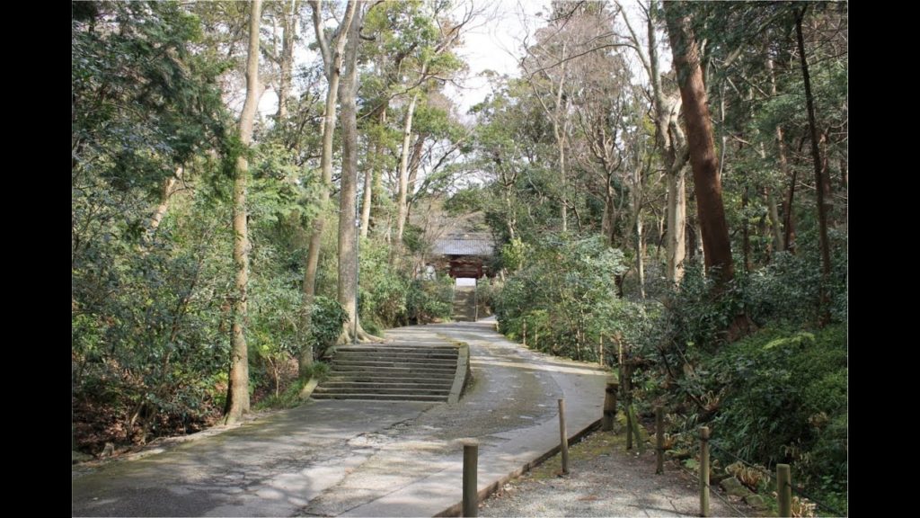 Japan Travel - Myohonji Temple, Hachiko [Day 3]