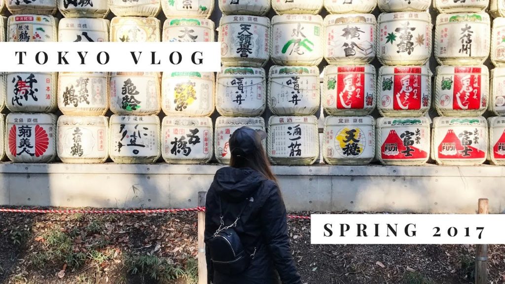 Tokyo Japan Travel Vlog 2017 🇯🇵 Cherry Blossoms, Tsukiji Fish Market, Totoro, Meiji, Ichiran Ramen